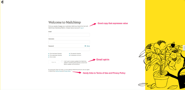 mailchimp screenshot