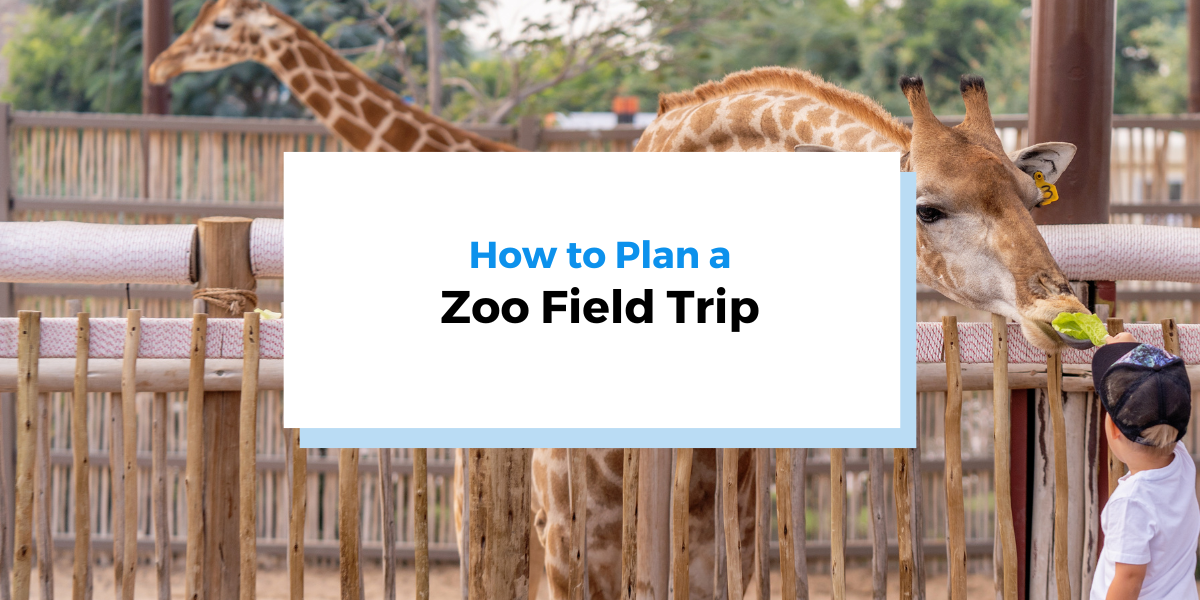 Reg Pock How to Plan a Zoo Field Trip | Regpack