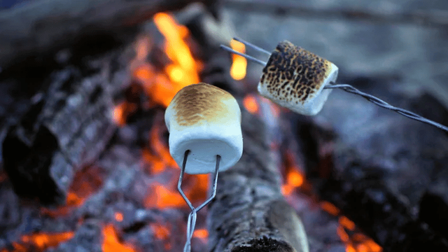 Marshmallow Roasting