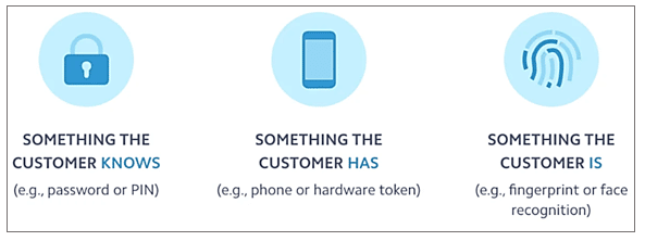 Contactless Payment Factors