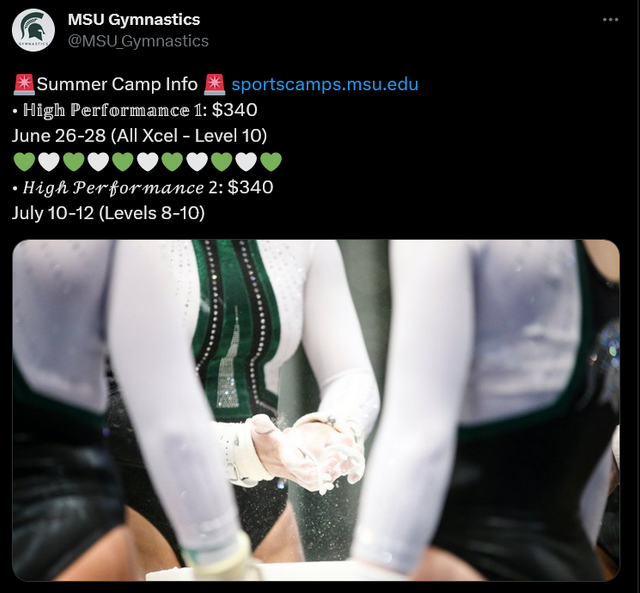 MSU Gymnastics Summer Camp Info
