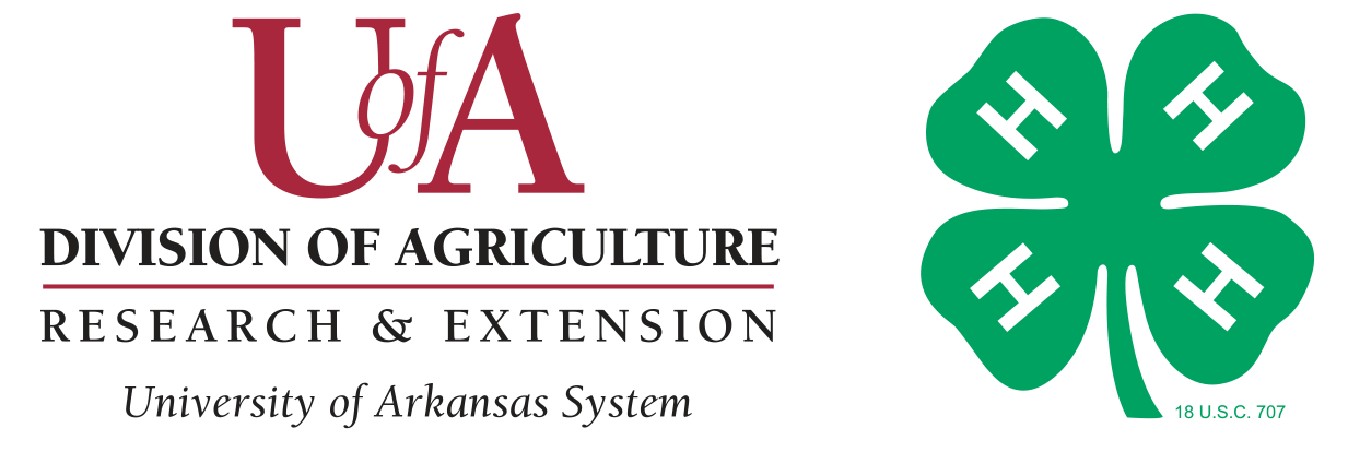4-H youth development programs logo.
