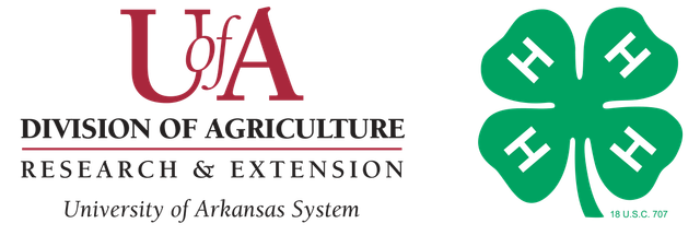 4-H youth development programs logo.