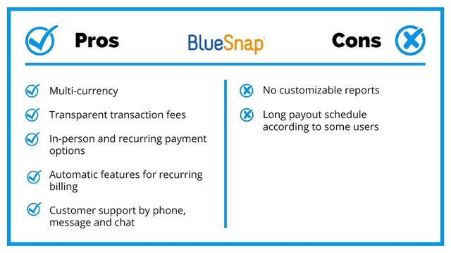 Bluesnap Pros And Cons
