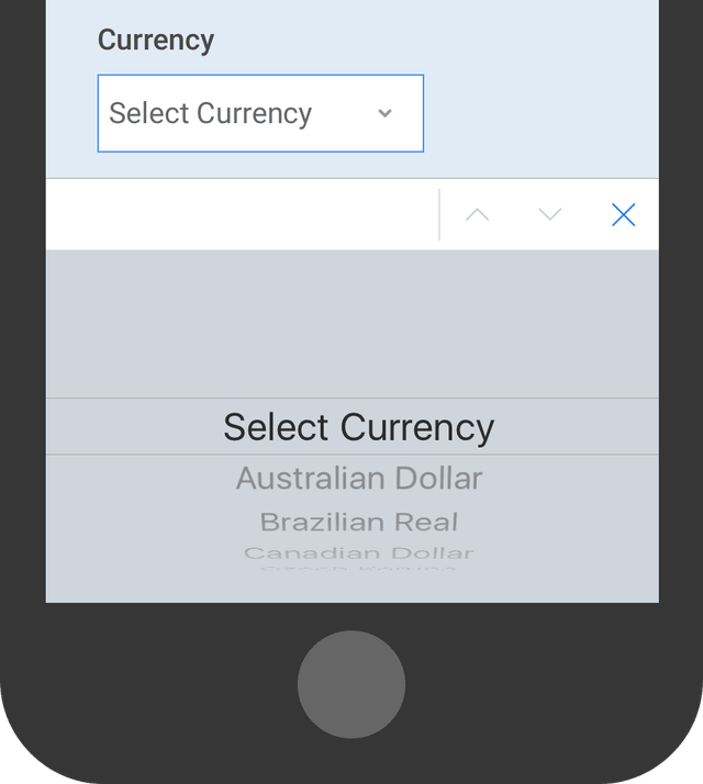 Select Currency Option