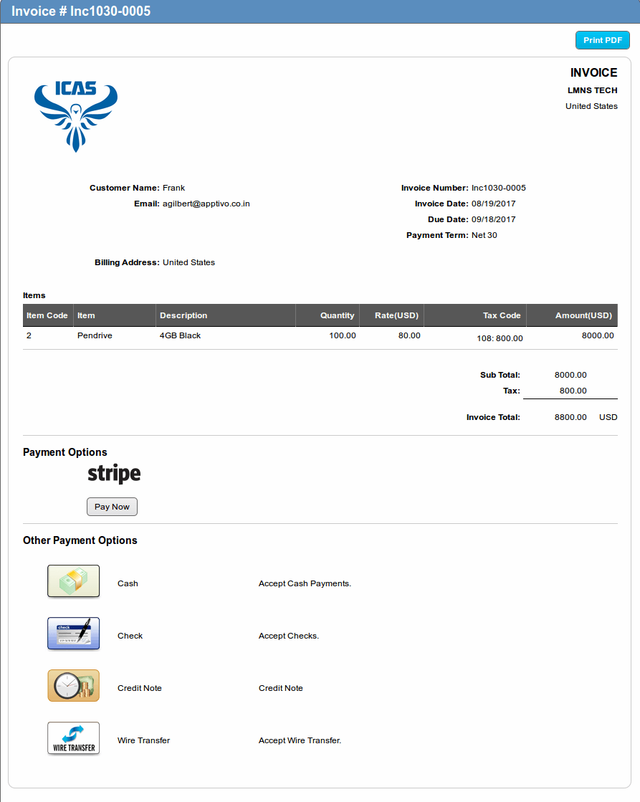 Lmns Tech Invoice Payment Options