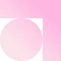 Primary Icon
