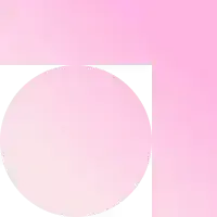 Primary Icon