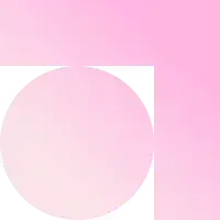 Primary Icon