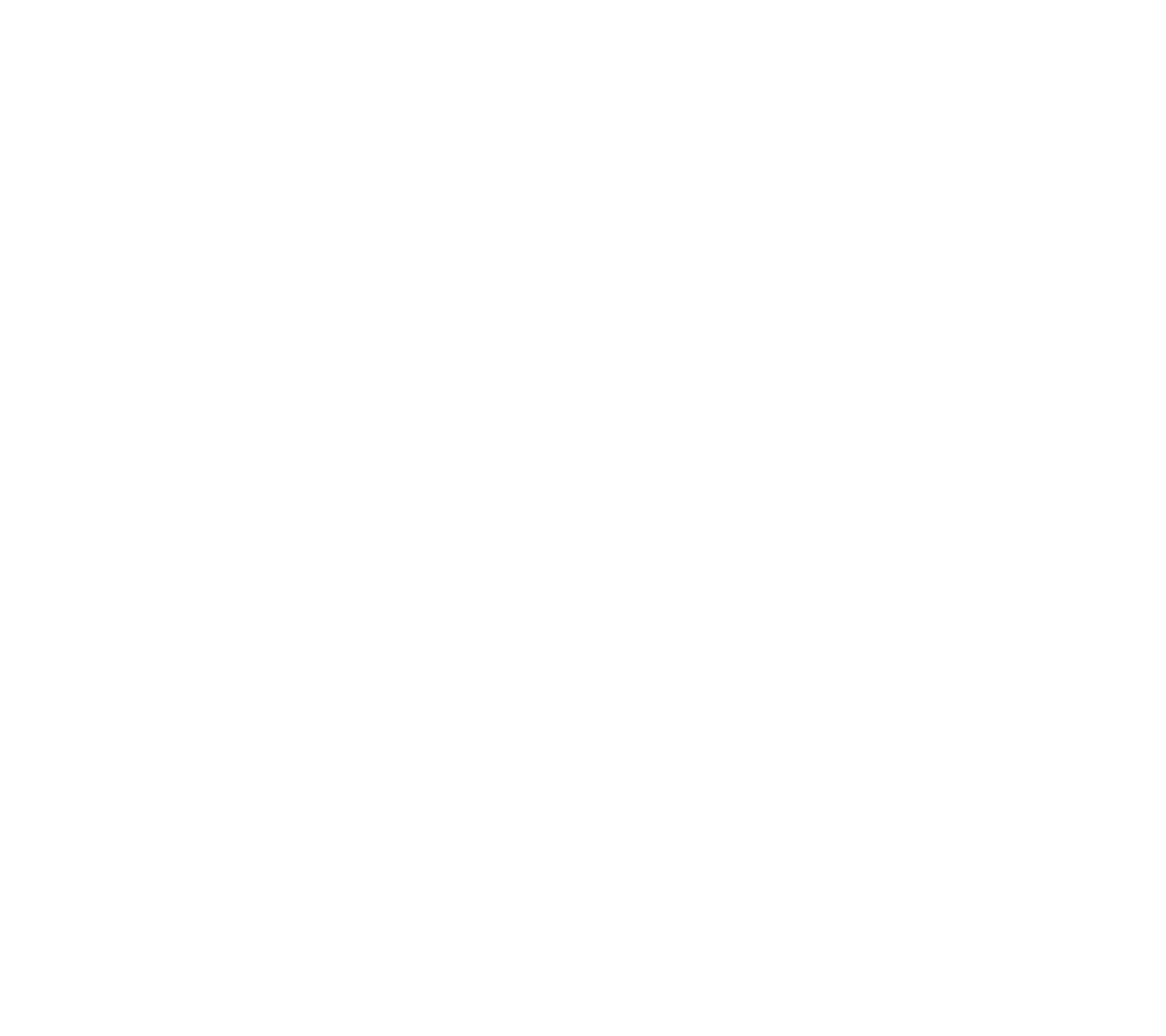 Trip Advisor Certificate of Excellence