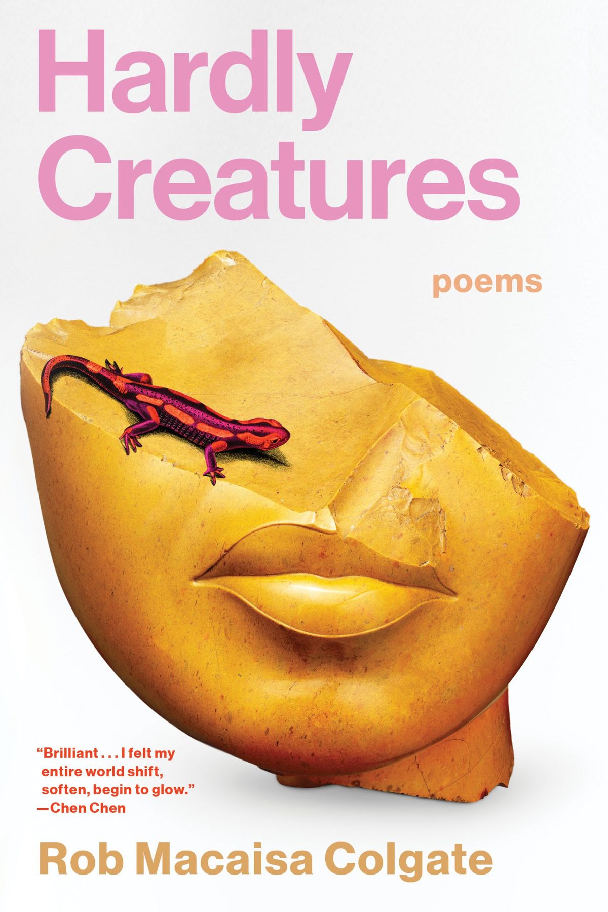 Hardly Creatures book cover. Features half of a face statue in bronze with a salamander on it. 