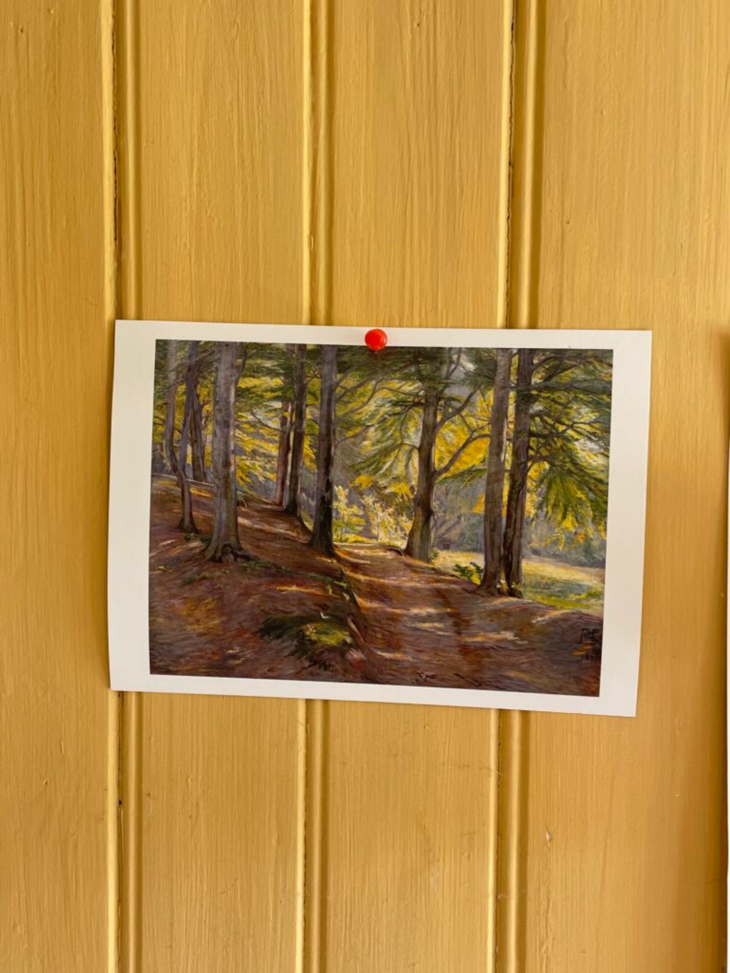 a postcard of a forest scene tacked on to a wood wall