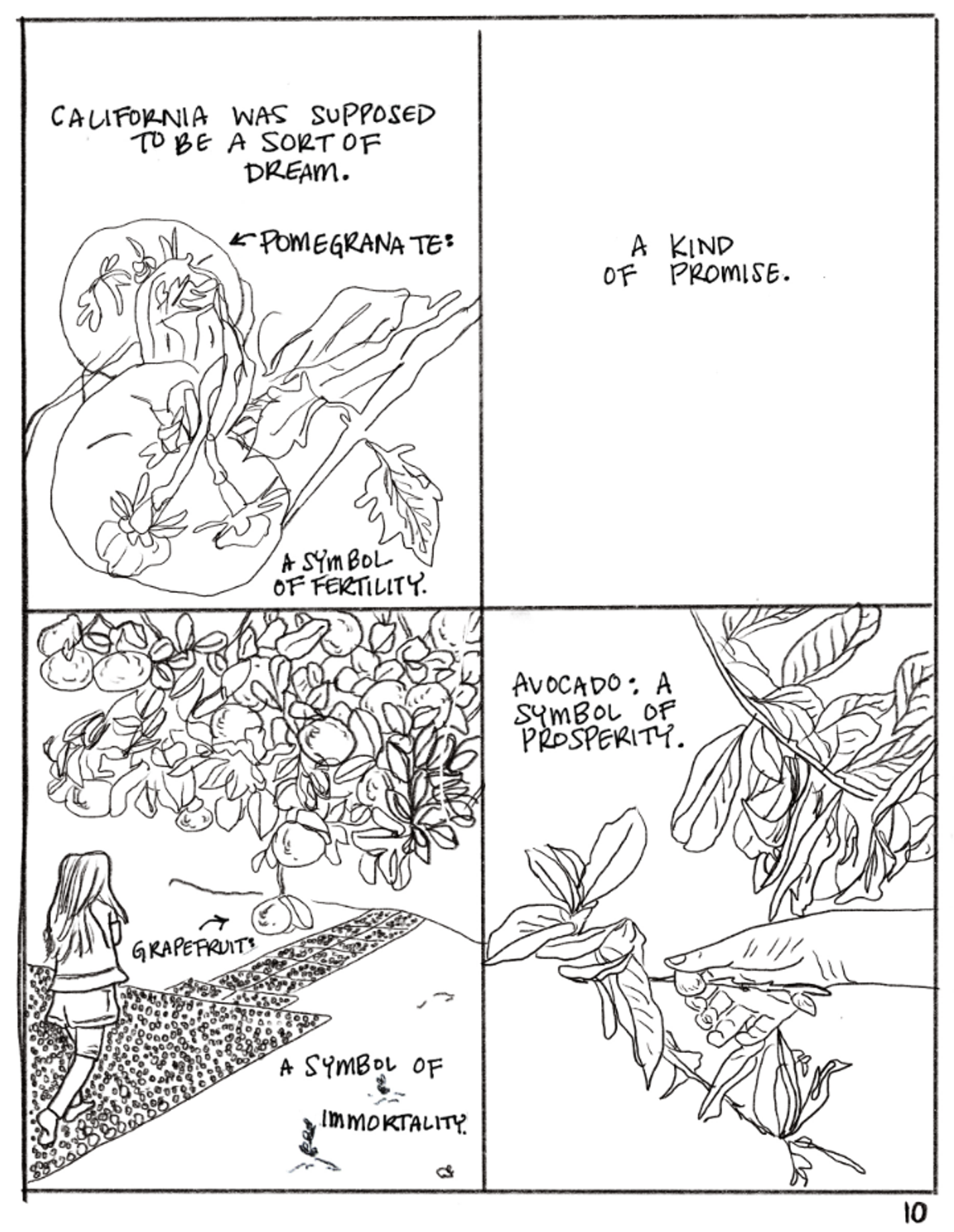 This panel is divided into four. The first shows a fruit and says "CALIFORNIA WAS SUPPOSED TO BE A SORT OF DREAM. POMEGRANATE:" and points to the fruit. It continues, "A SYMBOL OF FERTILITY." The second fragment only says, "A KIND OF PROMISE." The third section shows a girl walking towards a fruit tree and shows an arrow pointing towards the tree that says "grapefruit". The text says "A symbol of immortality." The last panel shows a hand wrapped around a leafy branch and reads "AVOCADO: A SYMBOL OF PROSPERITY."
