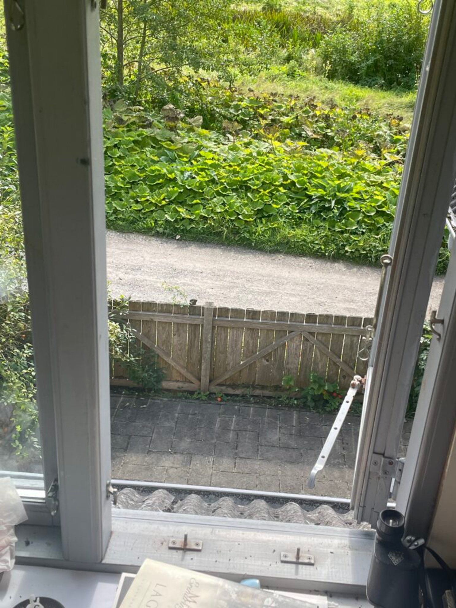 a view outside a window looking out on a gravel road bordered by a fence and greenery