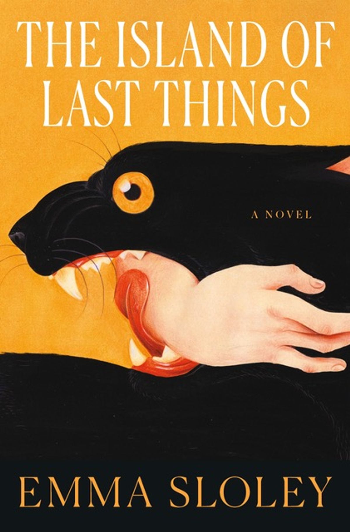 novel cover for the island of lost things featuring a large black cat with a hand in its mouth on a yellow background