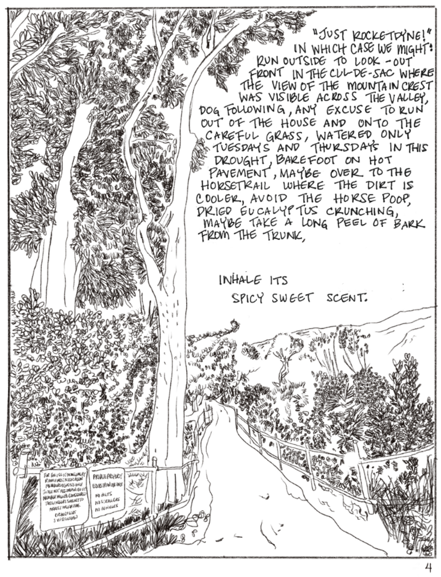 This panel shows a road through a different landscape. A sign on a fence at the mouth of the road marks it as private property. There are trees. Text reads, "JUST ROCKETDINE!" IN WHICH CASE WE MIGHT RUN OUTSIDE TO LOOK-OUT FRONT IN THE CULL DE-SAC WHERE THE VIEW OF THE MOUNTAIN CREST WAS VISIBLE ACROSS THE VALLEY, DOG FOLLOWING, ANY EXCUSE TO RUN OUT OF THE HOUSE AND ONTO THE CAREFUL GRASS, WATERED ONLY TUESDAYS AND THURSDAYS IN THIS DROUGHT, BAREFOOT ON HOT PAVEMENT, MAYBE OVER TO THE HORSE TRAIL WHERE THE DIRT IS CoOLER, AVOID THE HORSE POOP, DRIeD EUCALYPTUS CRUNCHING, MAYBE TAKE A LONG PEEL OF BARK FROM THE TRUNK, INHALE ITS SPICY SWEET SCENT."