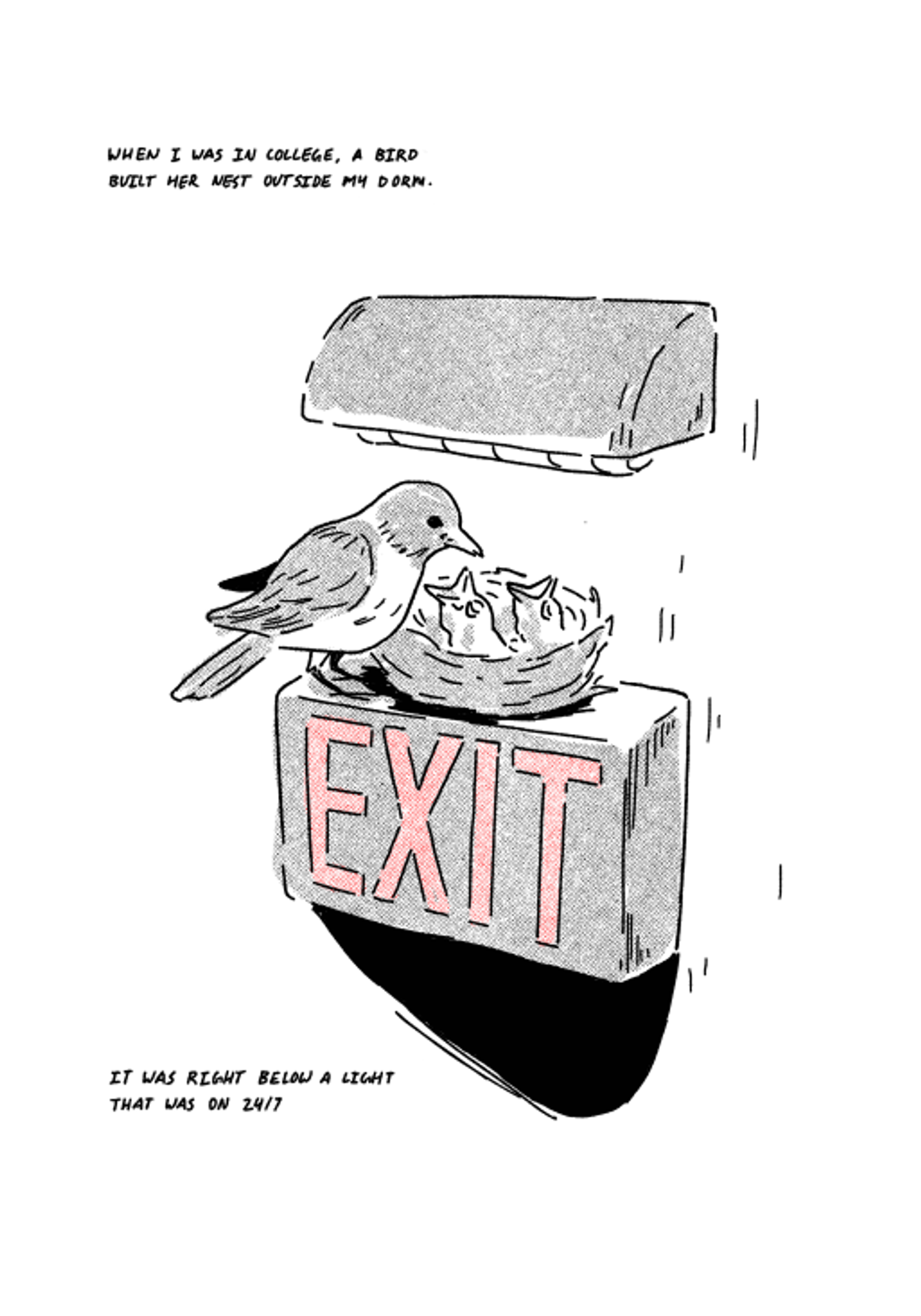 A drawing shows a mother bird looking over the nest she built on an exit sign under a light. Her chicks sit within. It is black and white aside from the red letters. The text reads, "When I was in college, a bird built her nest outside my dorm. It was right below a light that was on 24/7"