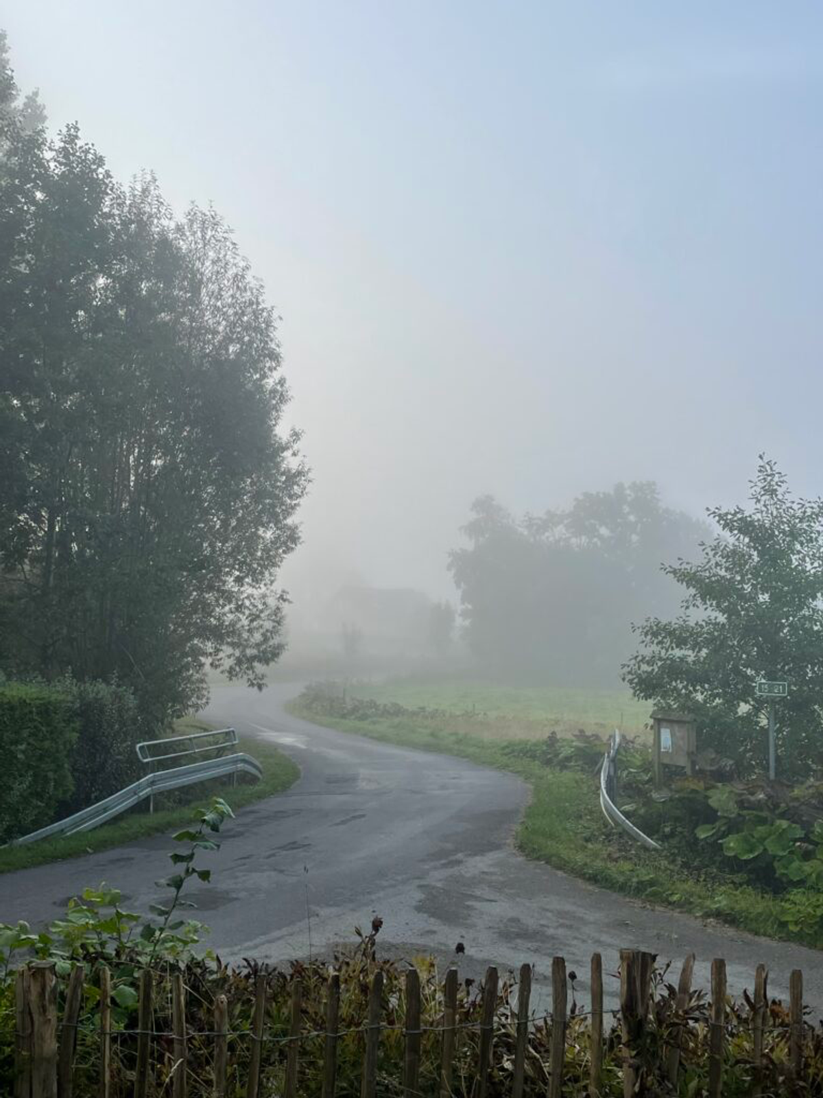 two roads intersecting with trees and light fog