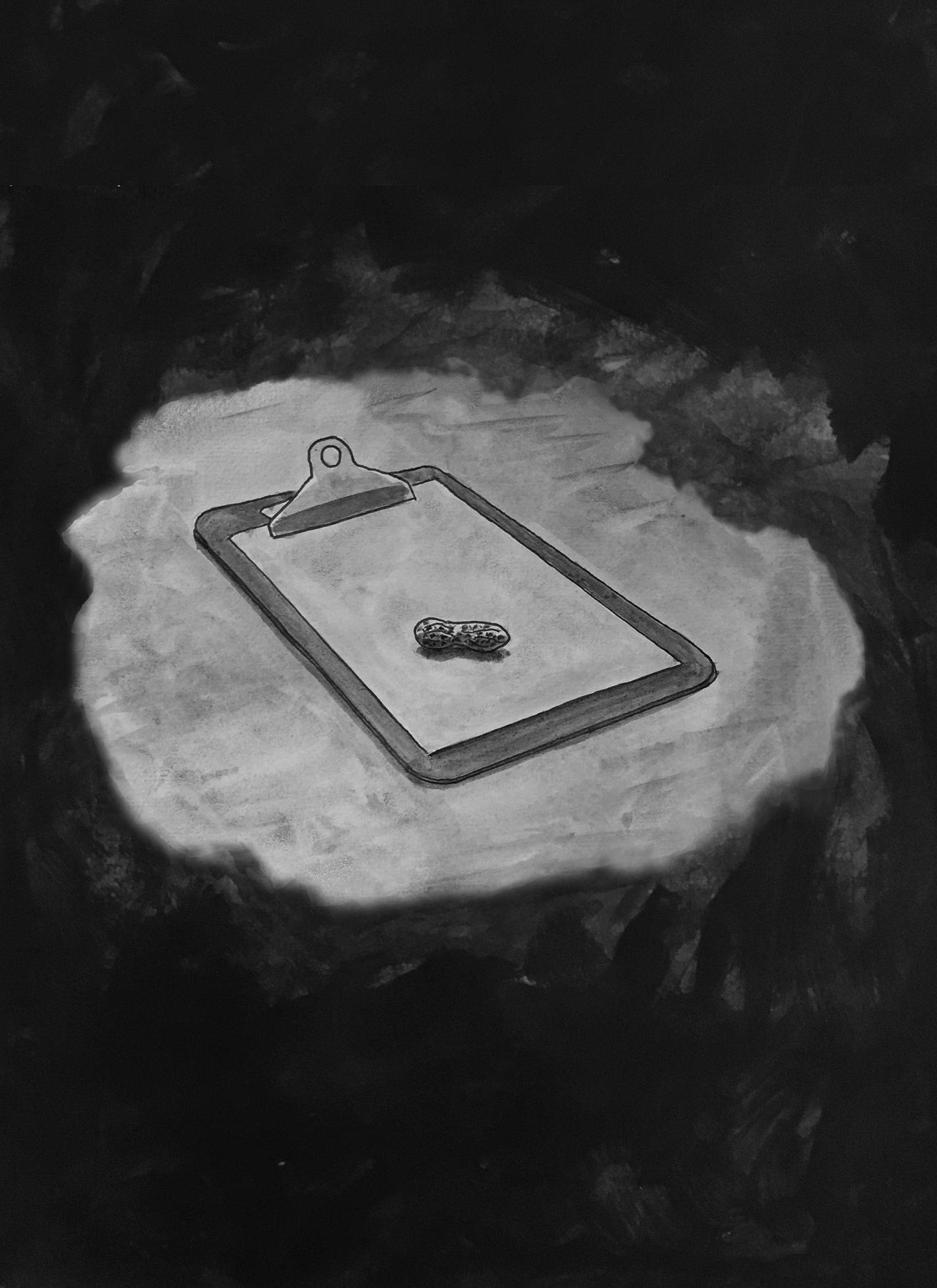 Page 10: There is a clipboard on a table. An old peanut is at the center of the clipboard.