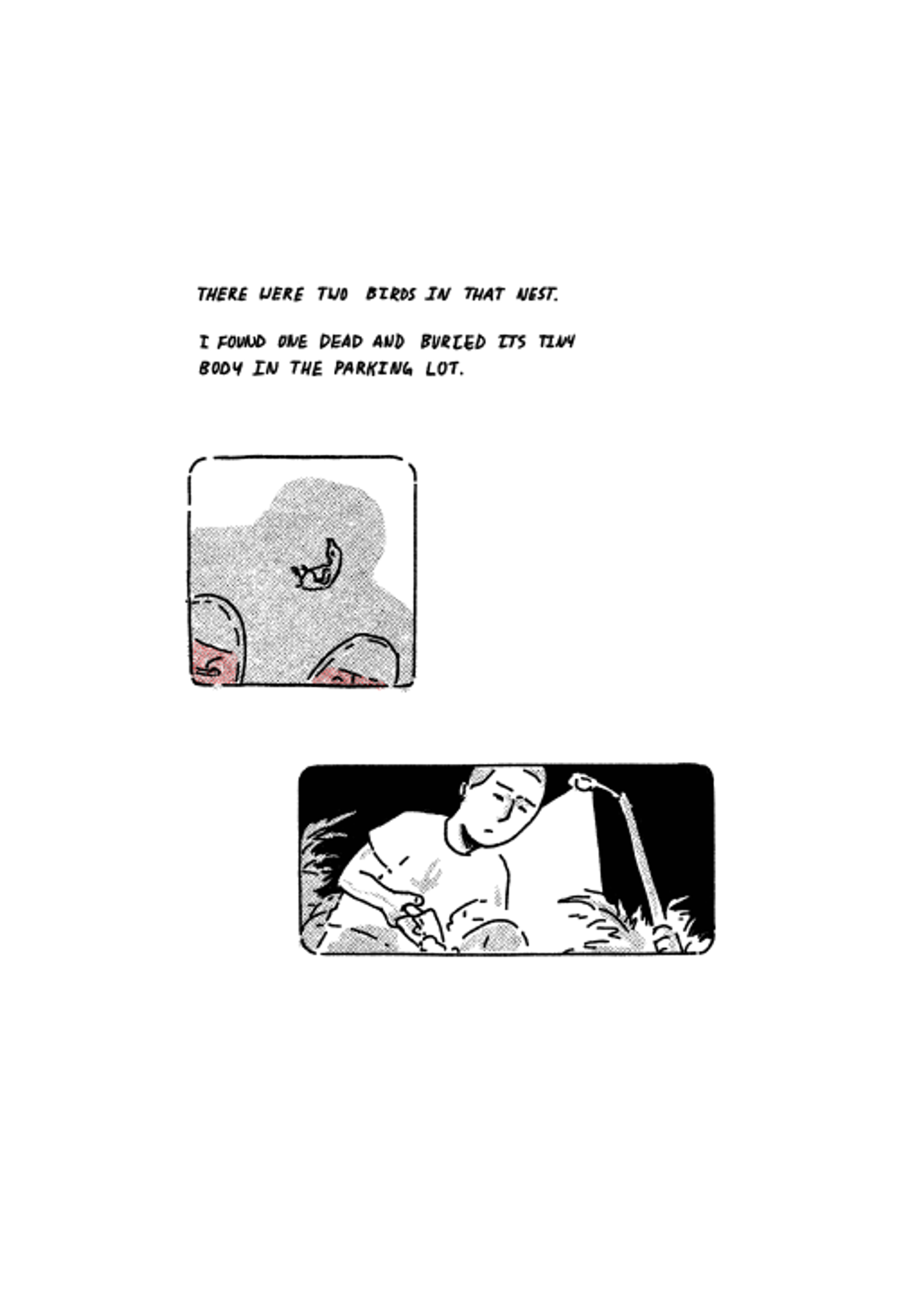In an inset box with a downward view, a small bird lies on the pavement, red Converse sneakers next to it. In another scene beneath that, the character peers down at the ground. There is grass around them and a large light overhead. The text reads, "THERE WERE TWO BIRDS IN THAT NEST. I FOUND ONE DEAD AND BURIED ITS TINY BODY IN THE PARKING LOT."