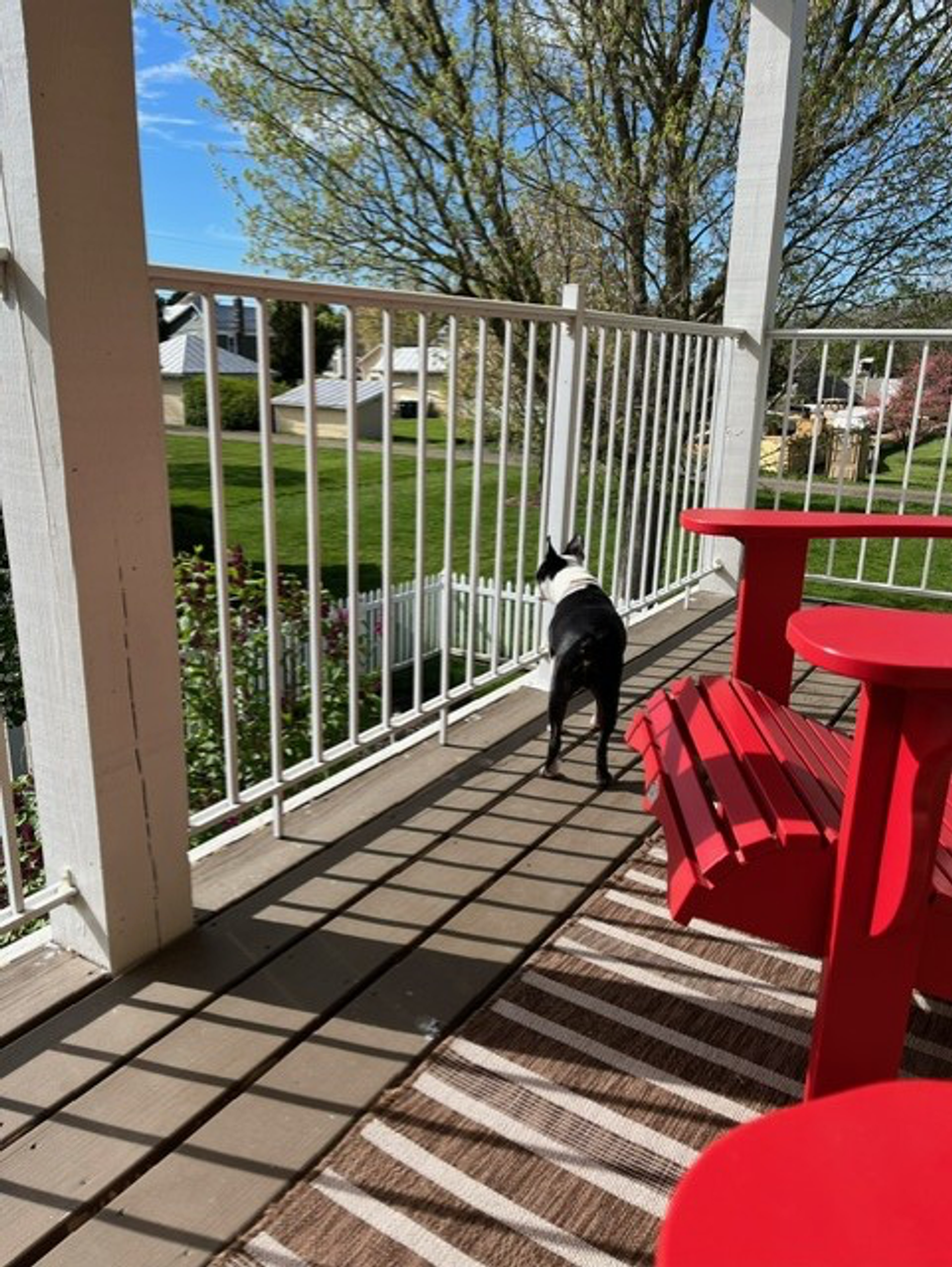 porch with railings, a partial view of red adirondack chairs and a cat looking away