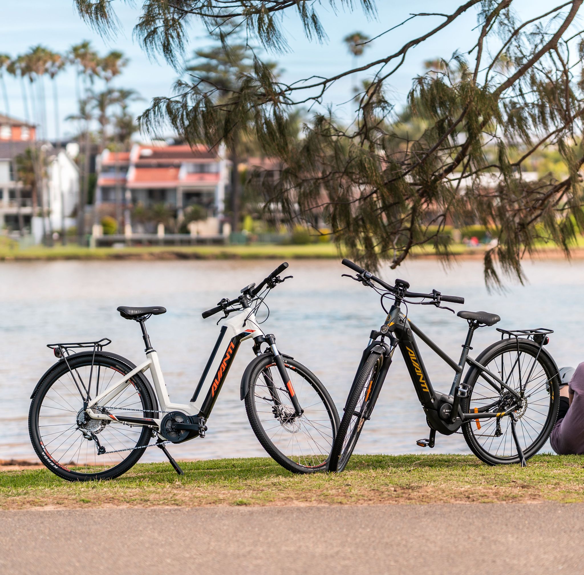 avanti inc 2 urban bike review