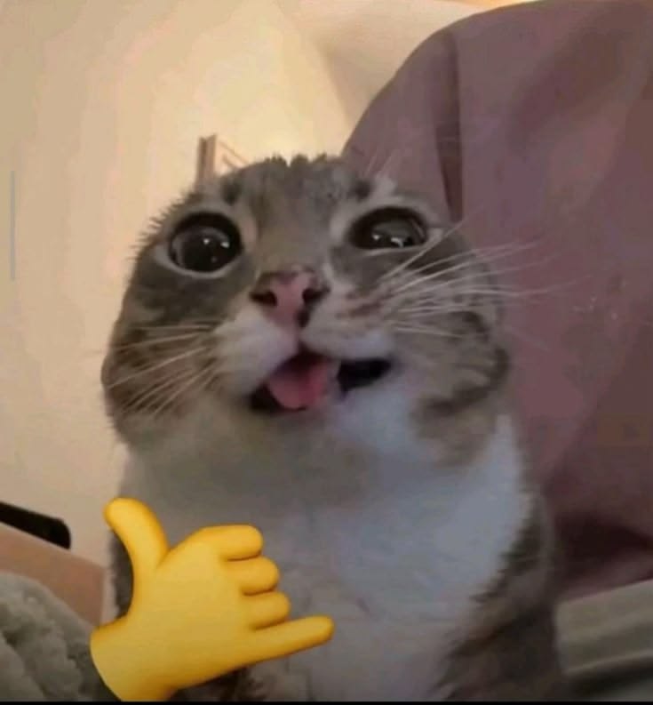 Meme image of a cat with an emoji gesture