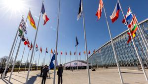 Finlandia ingresa en la OTAN. ¿Qué cambiará en el flanco norte de la Alianza Atlántica? ¿Cuándo se sumará Suecia? 