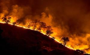 Incendios en Argentina | A pesar de la lluvia aún hay 8 focos activos