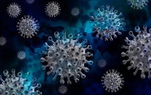 4702 nuevos casos de contagio por coronavirus en Noruega