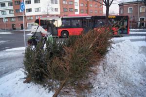 El árbol de Navidad moribundo - la historia se repite