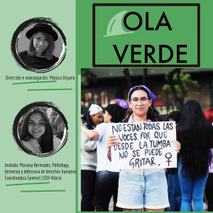 Si me matan, llenenme de flores. Feminicidios en América Latina