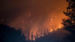 Incendios en Chile llevan más de una semana sin control
