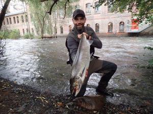 El río Akerselva, en pleno corazón de Oslo ahora tiene salmón