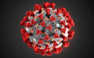 Gobierno noruego pone fin a las restricciones para el control del coronavirus