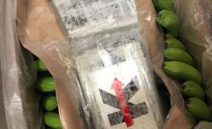 Policía de Noruega incauta más de 800 kilos de cocaína en el mayor decomiso de droga de su historia