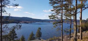 El Ayuntamiento de Oslo pide a todos los habitantes cuidar el agua