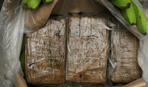 Noruega: Kripos advierte sobre tsunami de cocaína de América del Sur