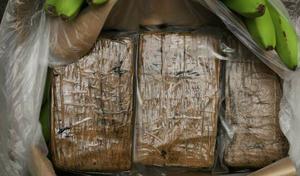 Noruega: Kripos advierte sobre tsunami de cocaína de América del Sur