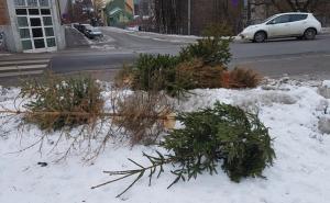 La história del árbol de Navidad moribundo