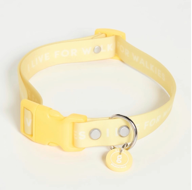 Yellow dog collar 
