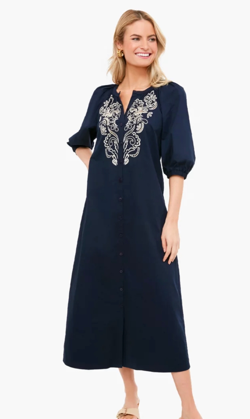 Navy embroidered dress 