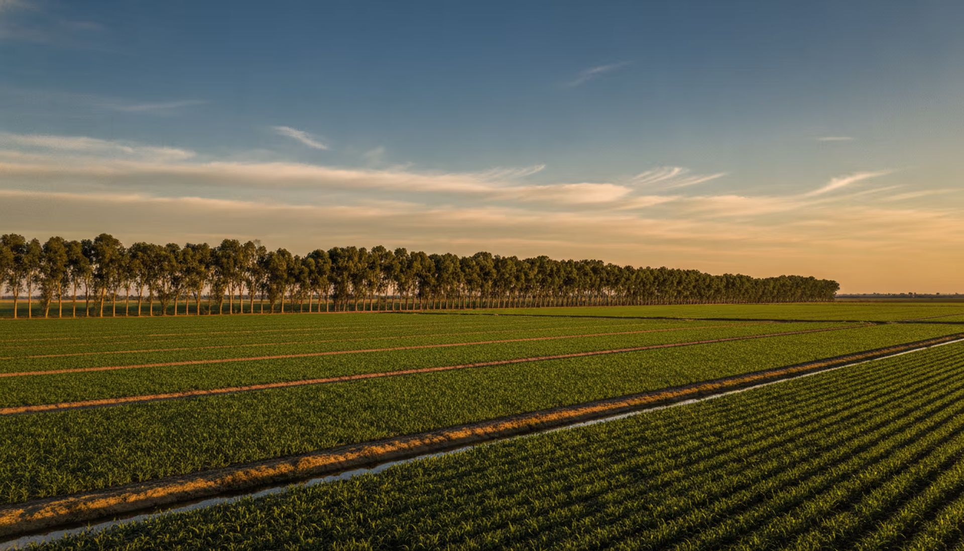 Lemoore, California