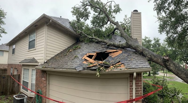 Fallen tree crashed through a residential roof causing severe truss damage requiring professional truss repair and structural restoration by Mike Walker Lumber Co Inc