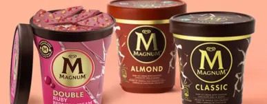 Magnum Store