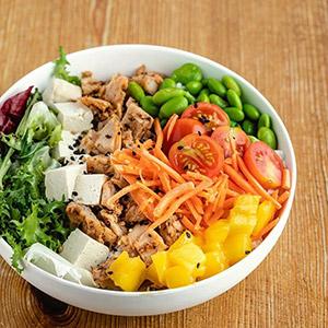 Vegan Dream