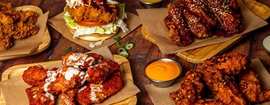 World of Wings