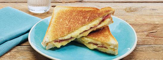 Sándwich Mixto