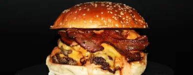 Junk Burger