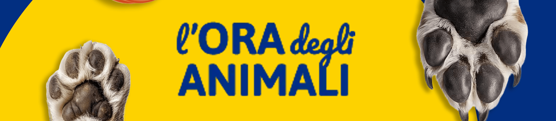 L'Ora degli Animali